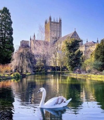 Wells Cathedral 1