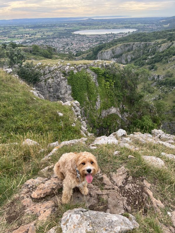 The Mendip Hills